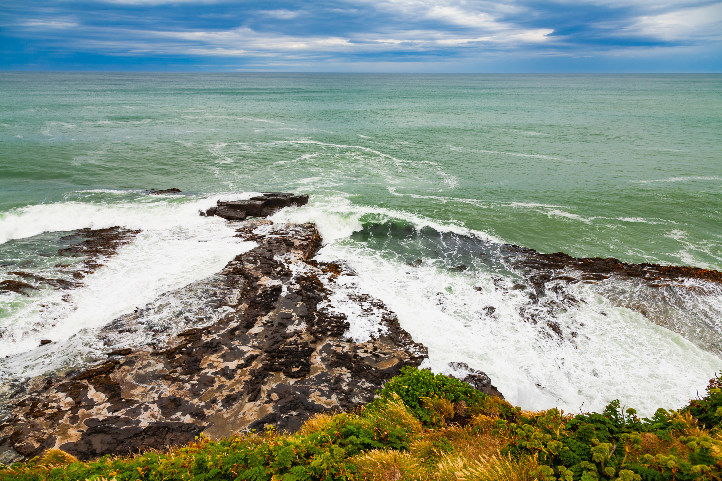port adventure, stewart island.webp